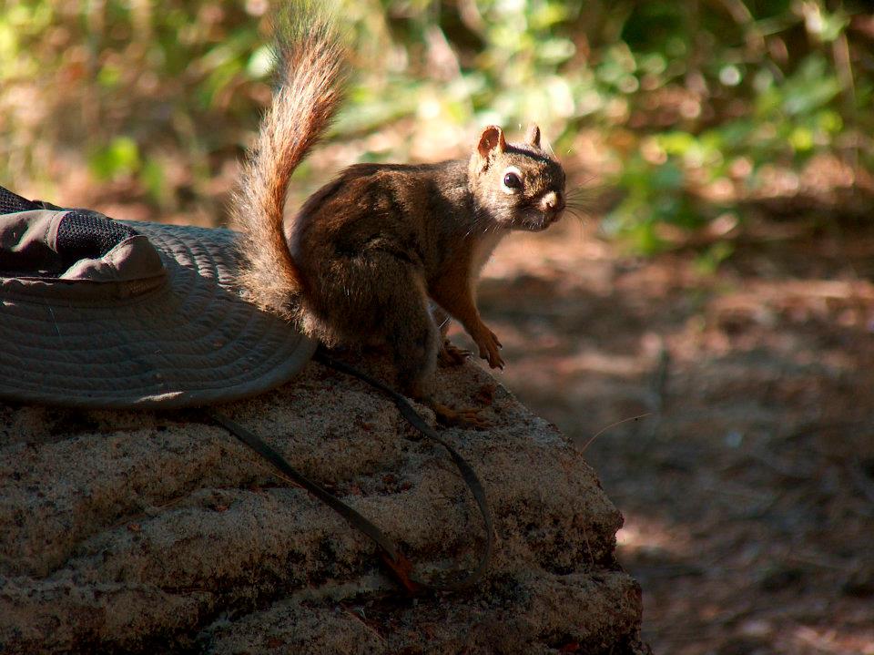 293721_10101262195507162_973616939_n