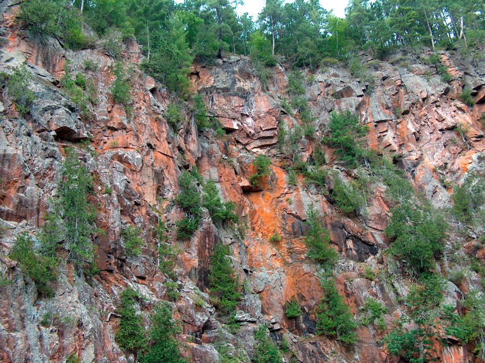 560901_10101262195432312_882209366_n